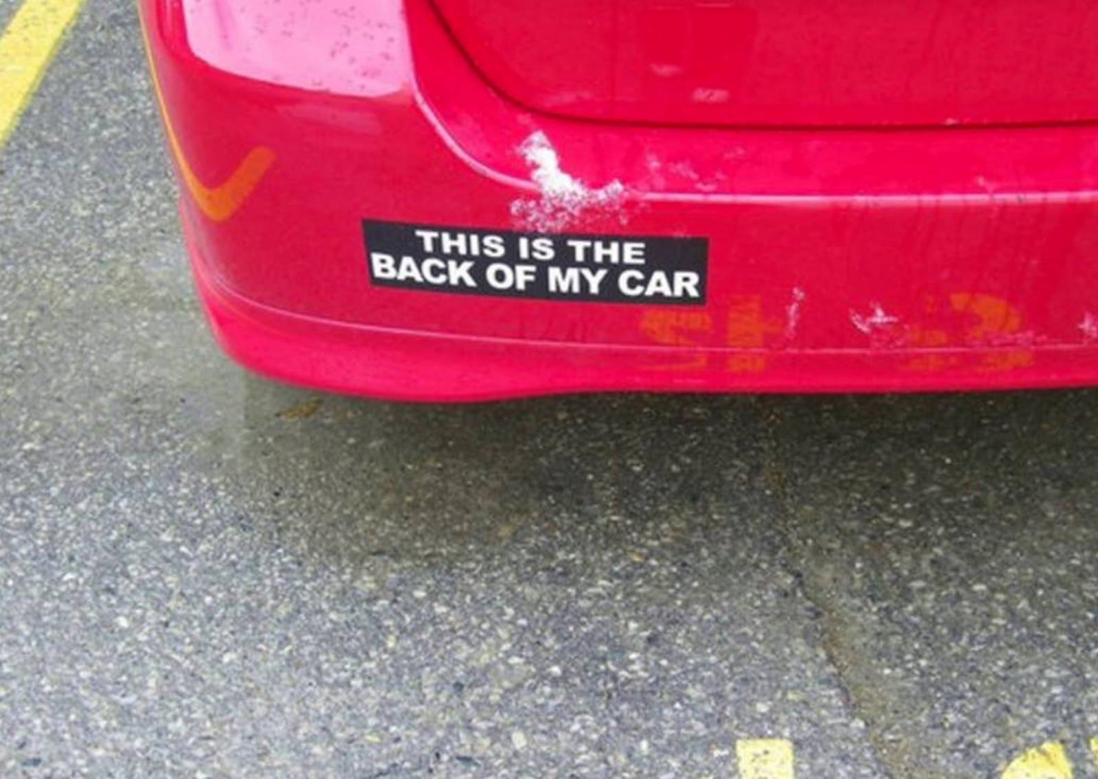 60 Best Bumper Stickers Ever Seen On The Roads